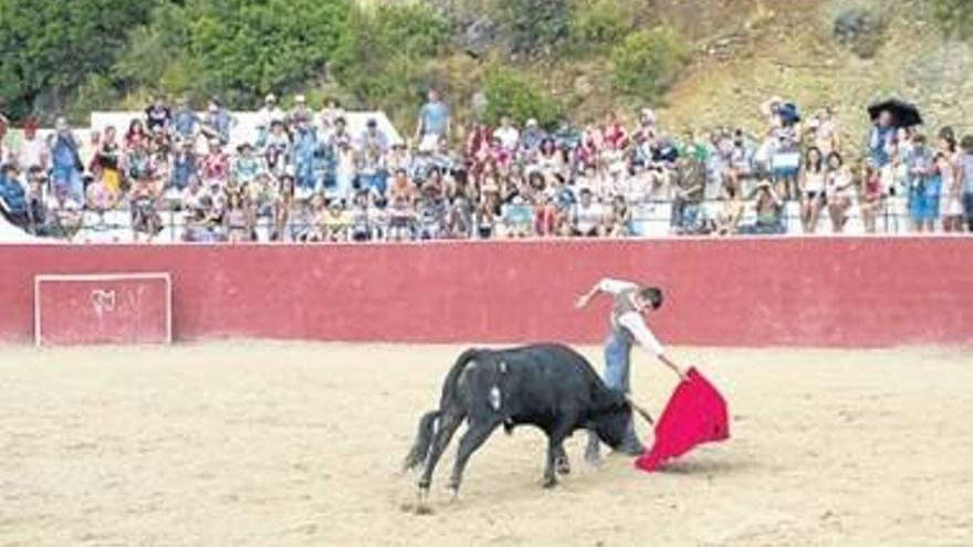 El Gobierno catalán respalda las corridas incruentas de Tarragona