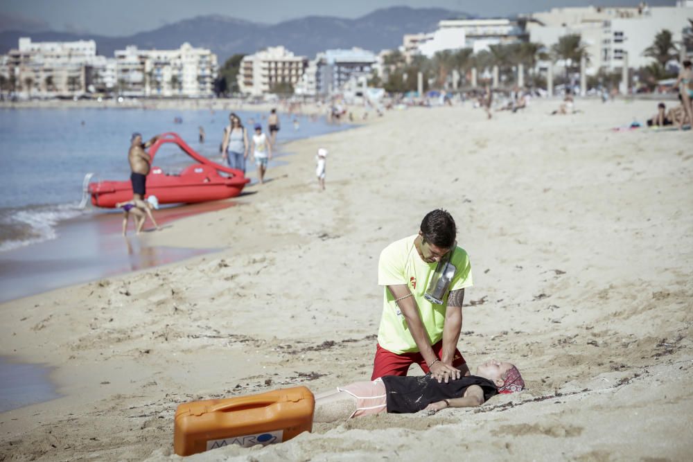 Hai-Alarm mit Happy-End auf Mallorca