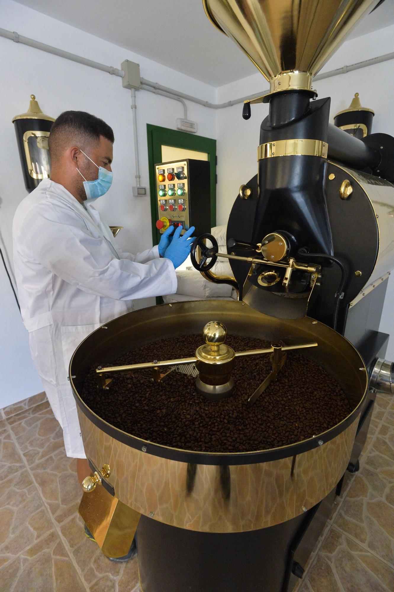 Plantación de café de la finca El Calvario, en Guía