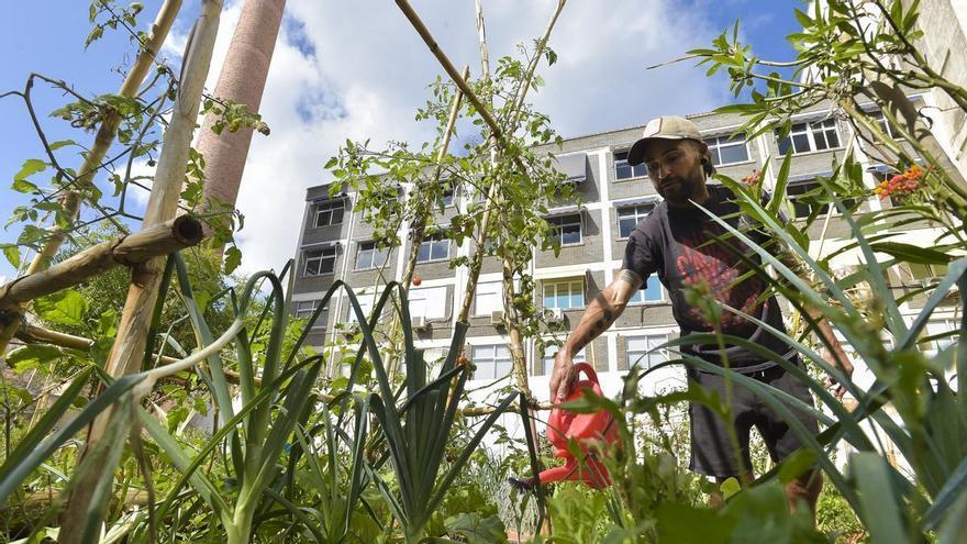 Las Palmas de Gran Canaria contará con una veintena de huertos urbanos para 2035