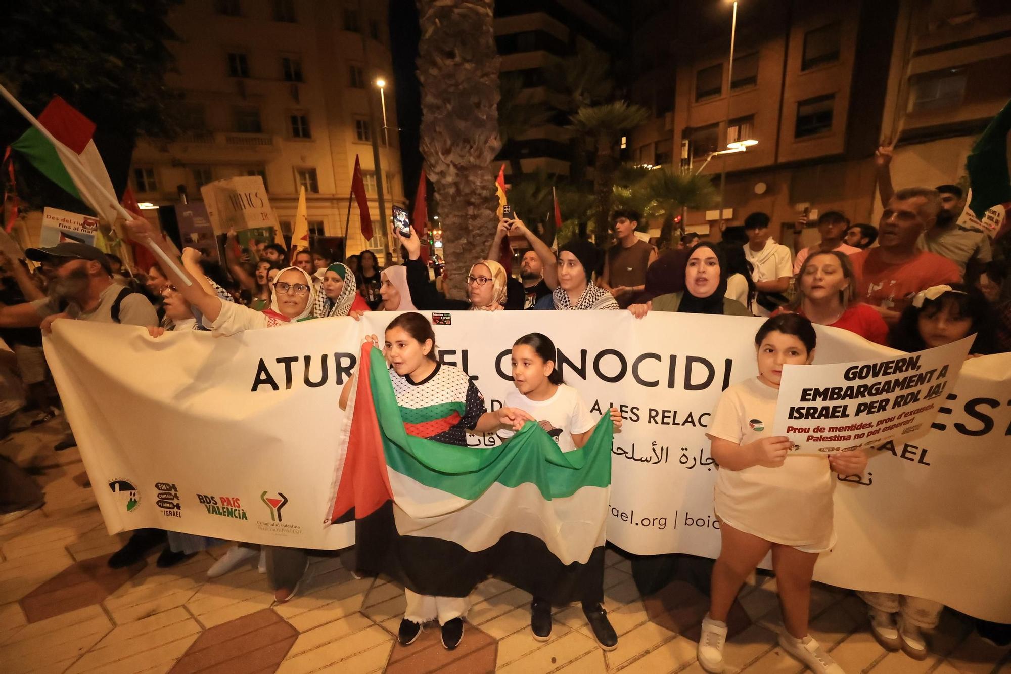 Galería de imágenes: Castellón sale a la calle en defensa de Palestina