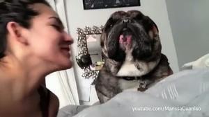 Compilació de vídeos ’Cats and Dogs Hate Kisses’.