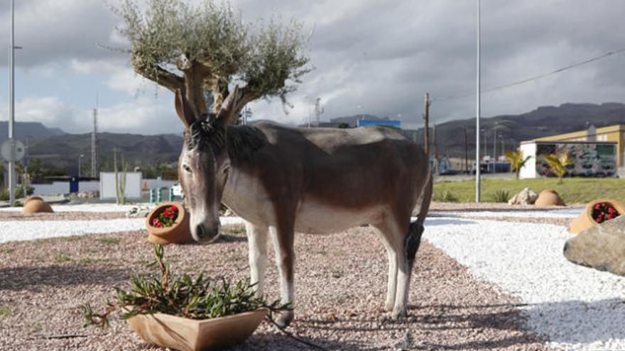 Nuevo burro de la rotonda del Lomo de Maspalomas, ayer.  | sergio pérez