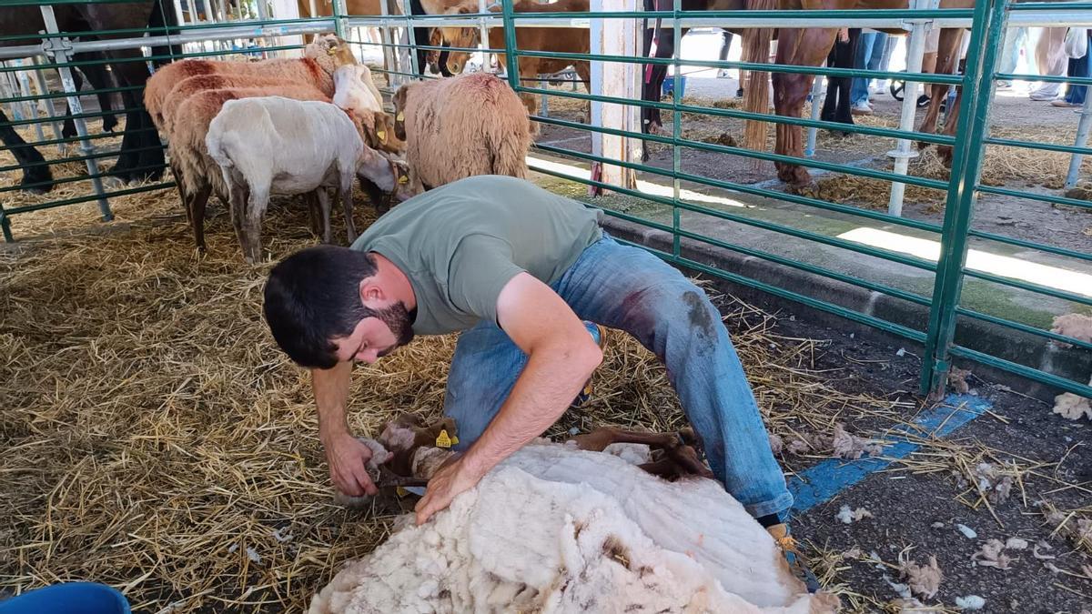 Sóller se vuelca con una multitudinaria Fira antes del esperado Firó