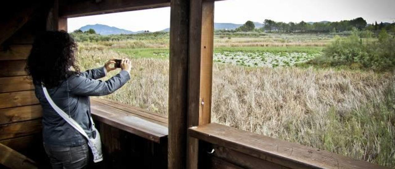 La Albufera de Gaianes presenta en estos momentos este desolador aspecto, que se puede contemplar desde el observatorio de las aves.