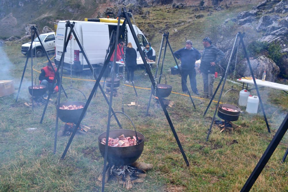 Romería de la trashumancia en los lagos de Salienc