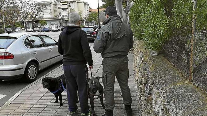 Un agente revisa la documentación del propietario de dos perros.