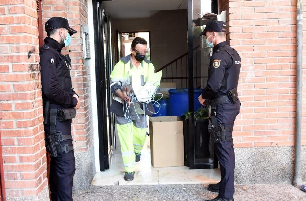 Hallan 300 plantas de marihuana en una casa del barrio del Infante de Murcia