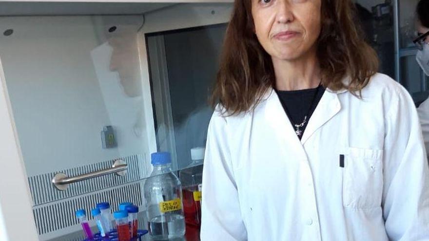 Eva Falomir, investigadora de la UJI, «Investigamos nuevos fármacos menos tóxicos contra el cáncer»