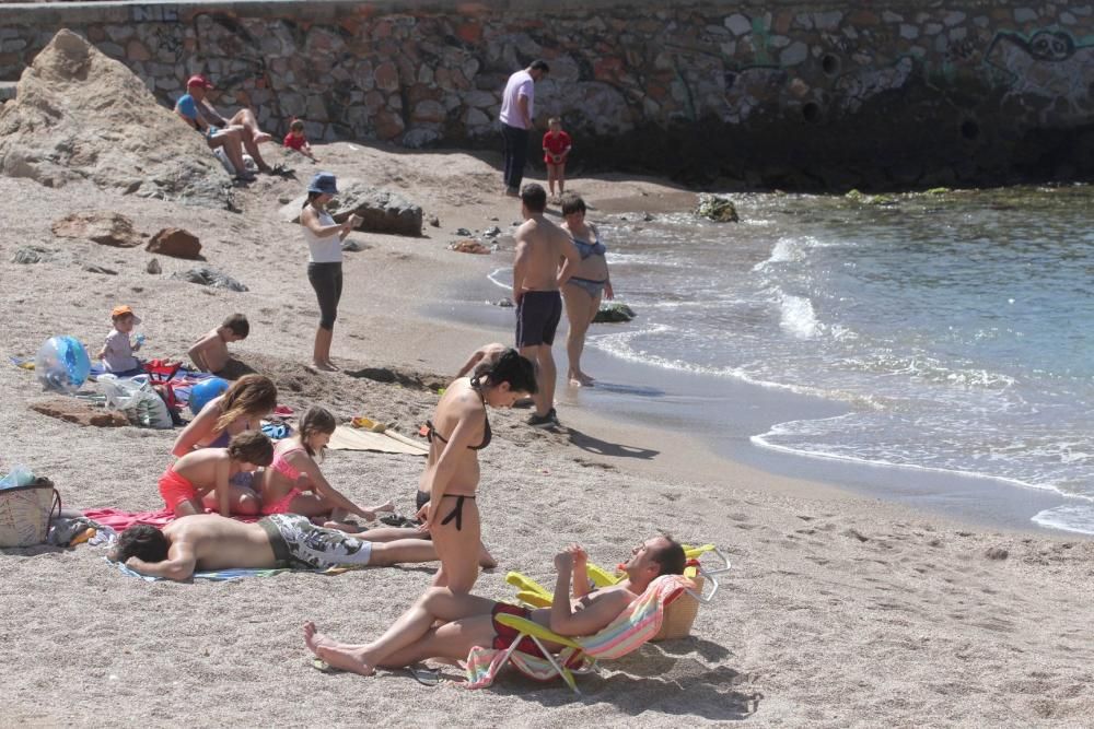 Día de la Mona en Cartagena