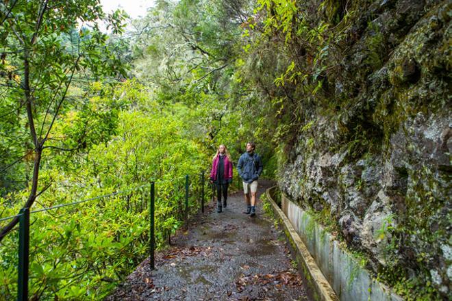 Paseo entre lavadas en el bosque de Laurisilva Madeira