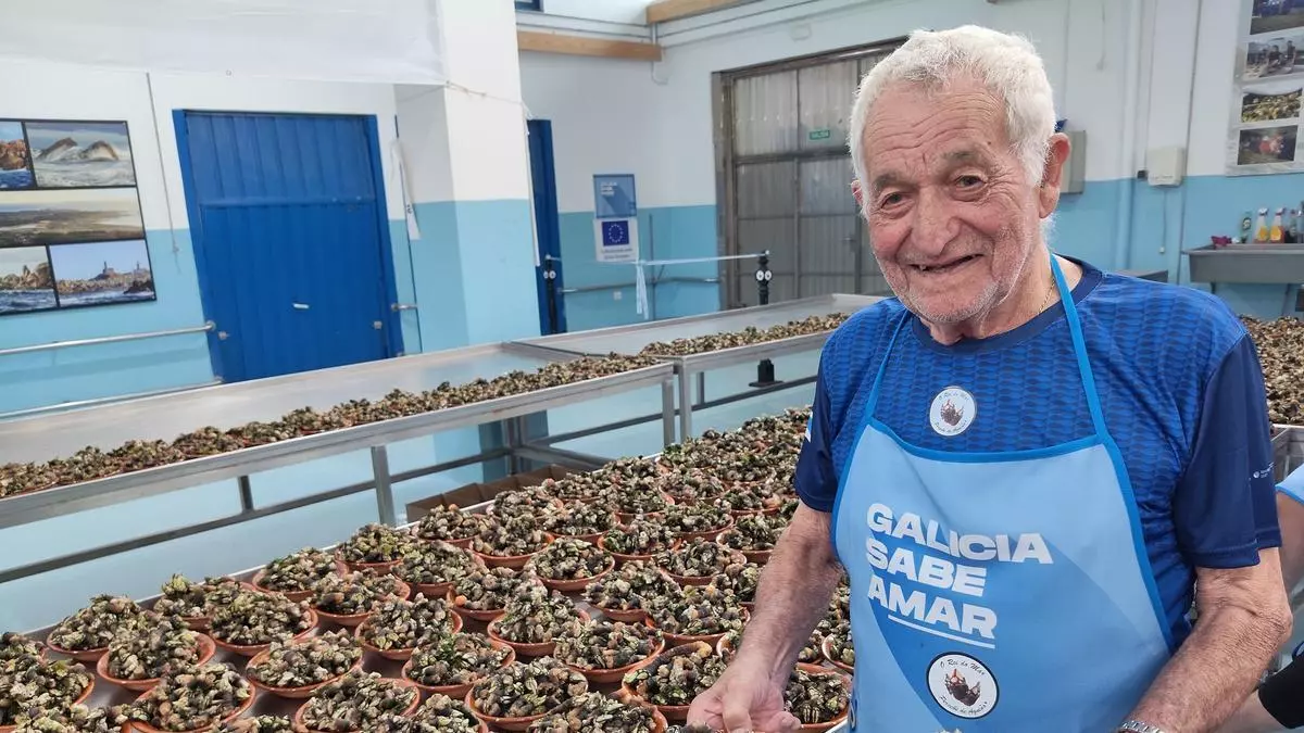 Cola kilométrica en Aguiño para degustar una tonelada de percebes: "Esta festa medrou moito, pero mantén a esencia do seu sabor"