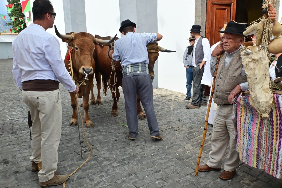 Romería Labradores 2022