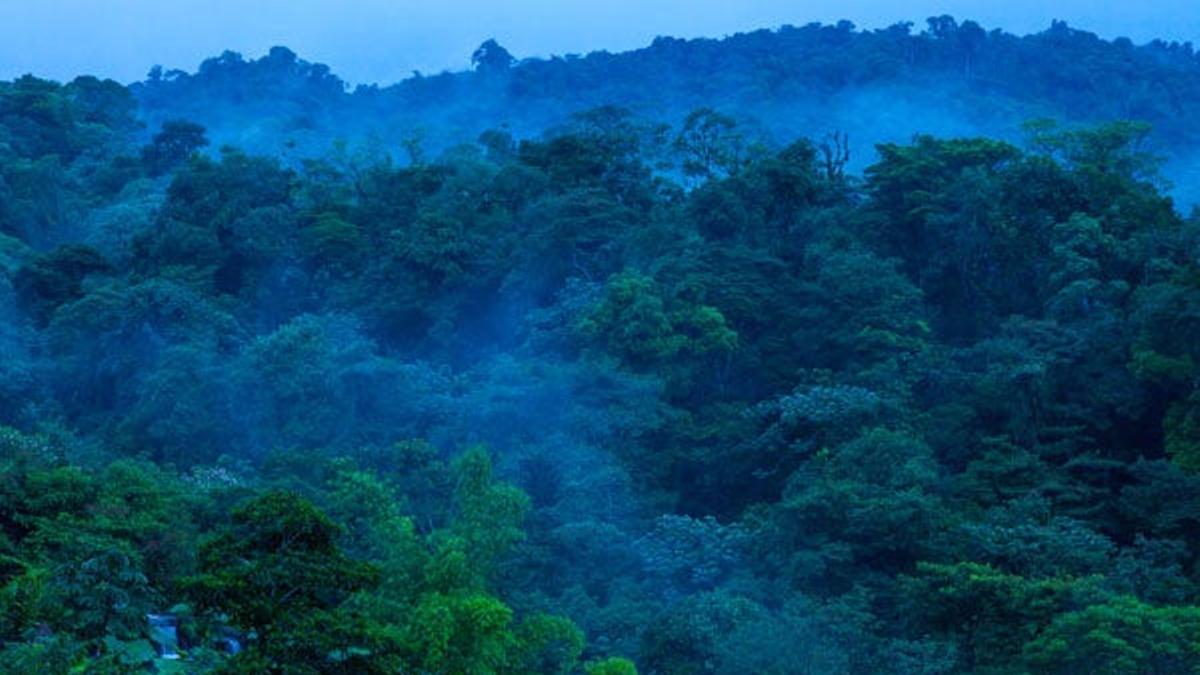 Parques naturales de los Quetzales