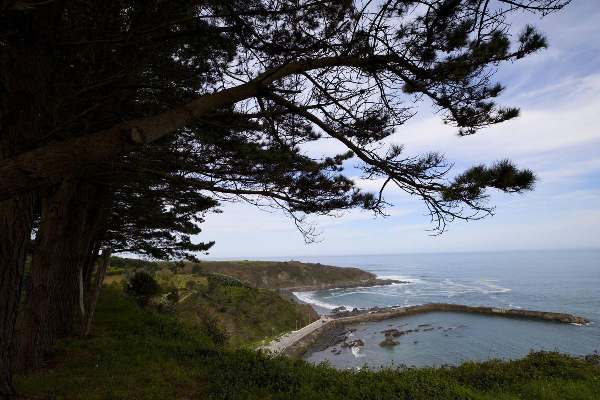 EN IMÁGENES: Así es el bosque-jardín de Luarca EN IMÁGENES: Así es el bosque-jardín de Luarca