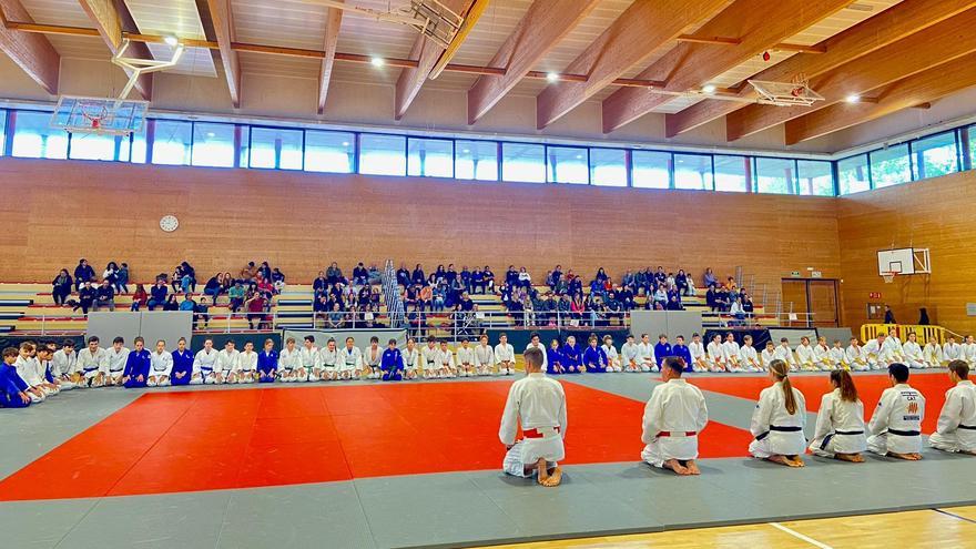 El Festival de Final de Curs de Judo bat rècord d’assistència amb més de 340 esportistes, al Congost