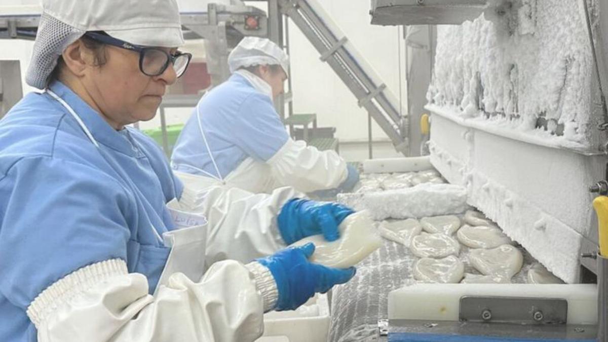 Línea de producción en la planta de Pralisa.