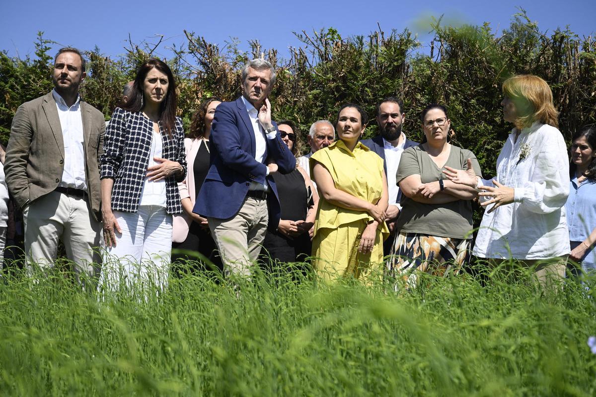 La presidenta de la Fundación Adolfo Domínguez junto al presidente de la Xunta y el director de la Fundación Antonio Roade frente a campo de cultivo.