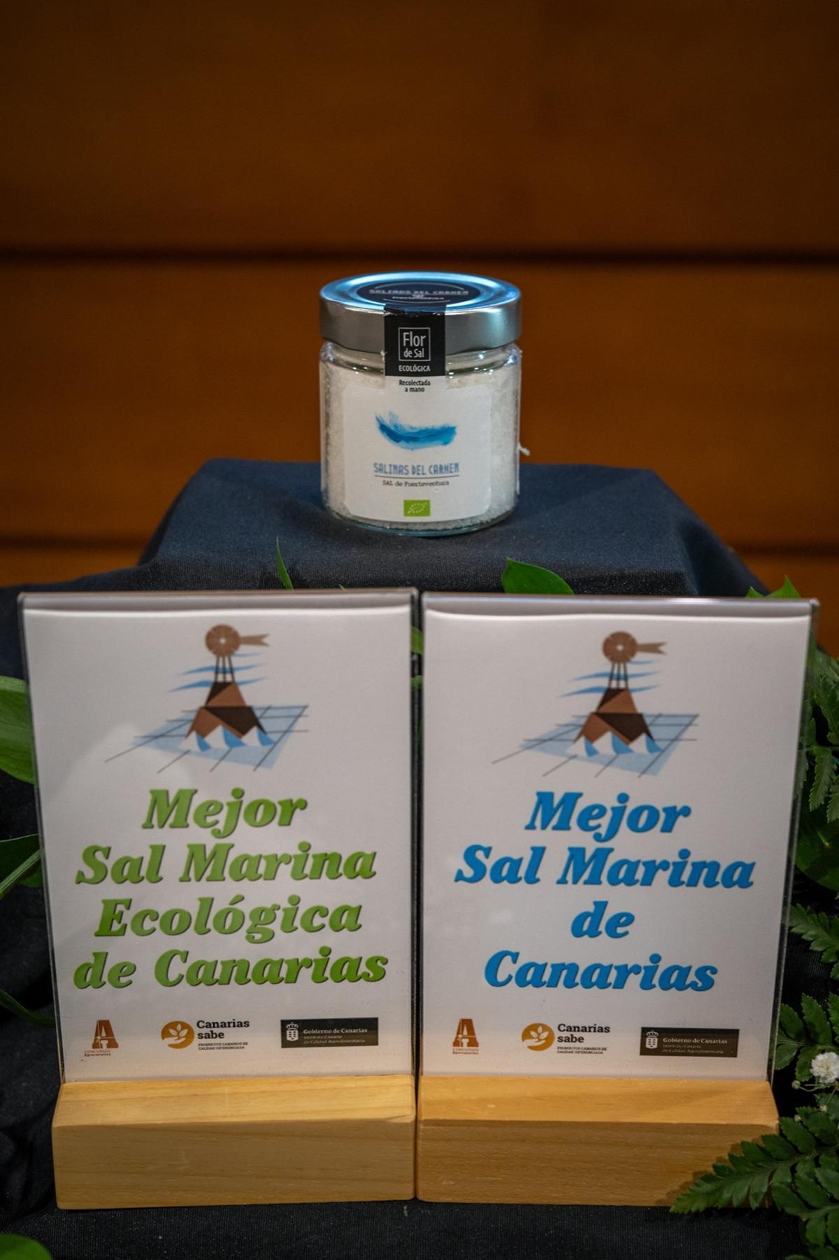 Mejores sales marinas de Canarias 2024