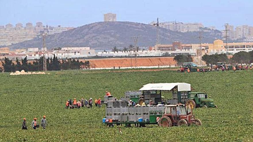 El campo alcanza una ocupación récord en mayo con más de 92.000 afiliados