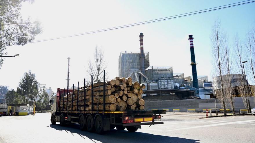 Un camión cargado de madera entra en la fábrica de Ence en Lourizán, Pontevedra. |  Rafa Vázquez