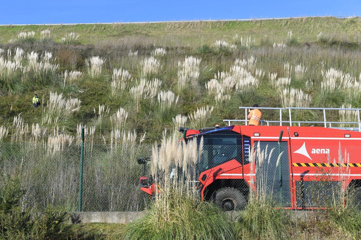 Dispositivo de caza del jabalí en el aeropuerto de Alvedro