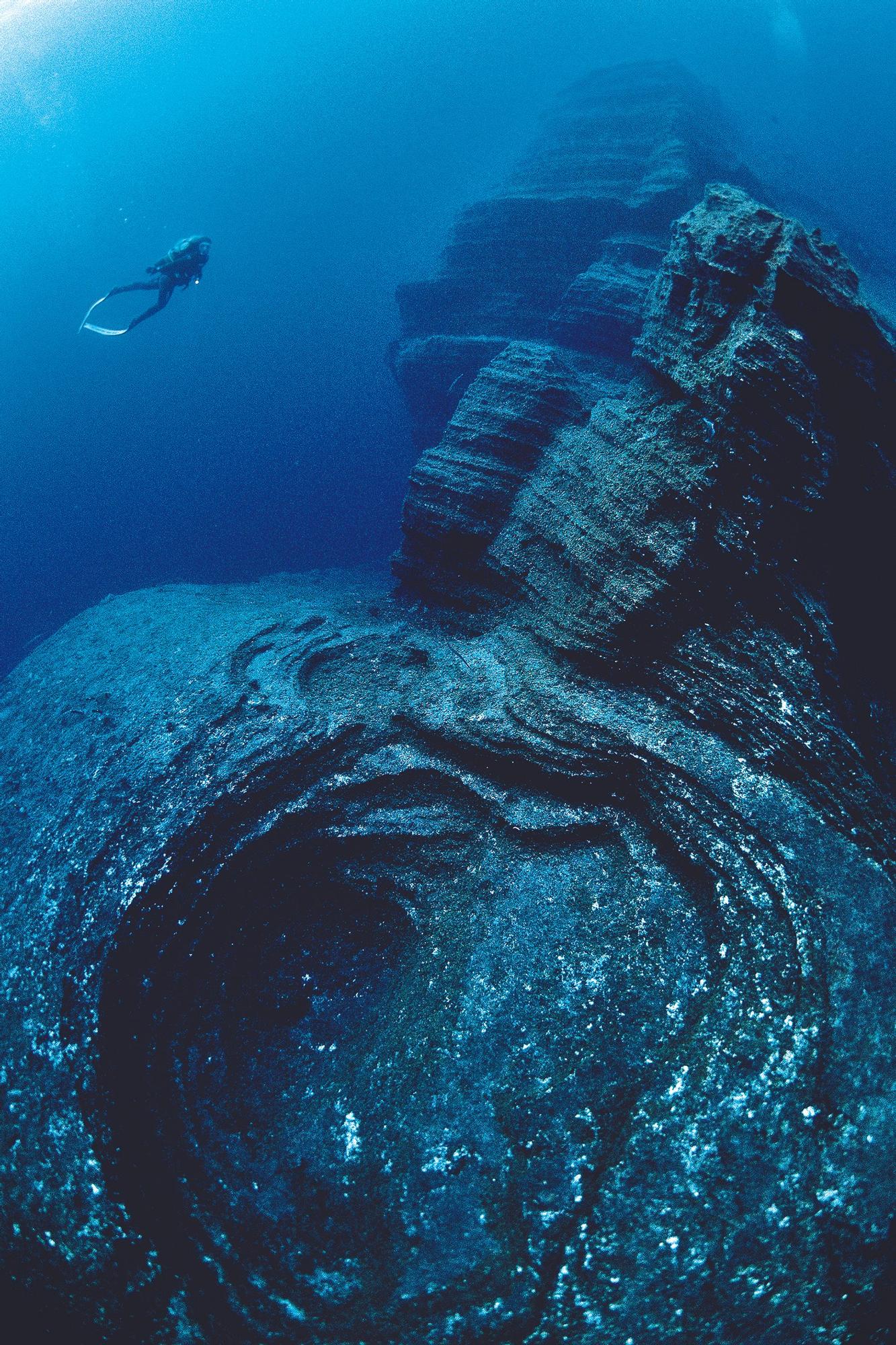 Primer premio del Master Fotosub Isla de El Hierro