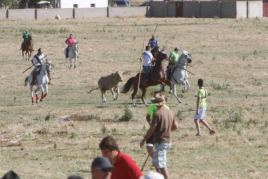 Fiestas en Zamora: Segudos espantes de Fuentesaúco