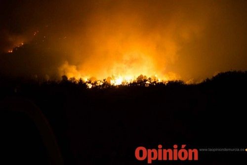 Incendio en la Zarcilla de Ramos