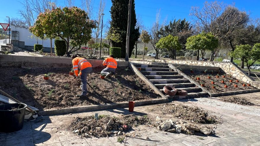 El Ayuntamiento de Lucena reconfigura varias zonas ajardinadas de la ciudad