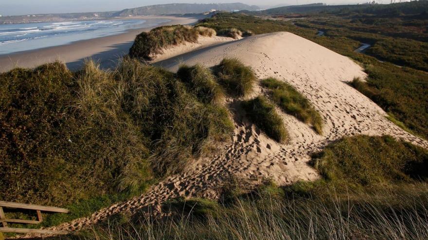 Así de dura es la regulación de usos de las dunas del Espartal: un área donde está prohibido hasta soltar el perro