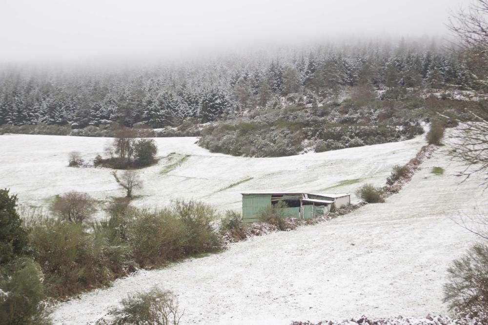 Llegan las primeras nevadas a Galicia