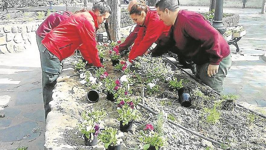 Alumnos de El Ladrillar II embellecen zonas verdes