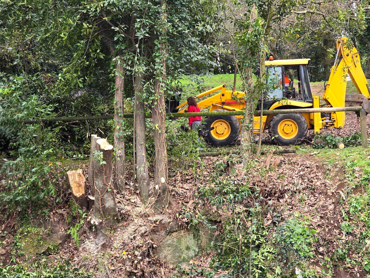 La tala de árboles en el Parque Valdés Bermejo para garantizar la seguridad ciudadana.