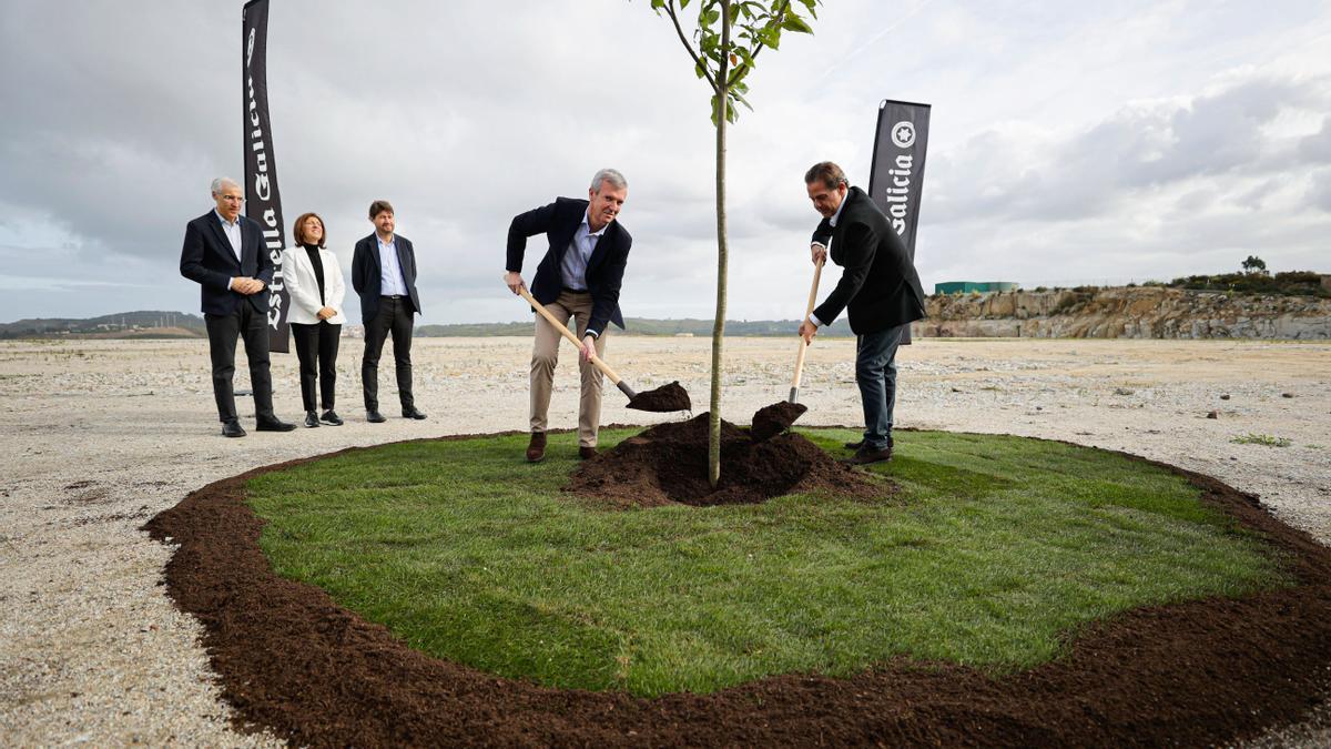 El presidente de la Xunta, presente en la plantación de un árbol como inicio simbólico de las obras de la nueva fábrica de Estrella Galicia en Arteixo.