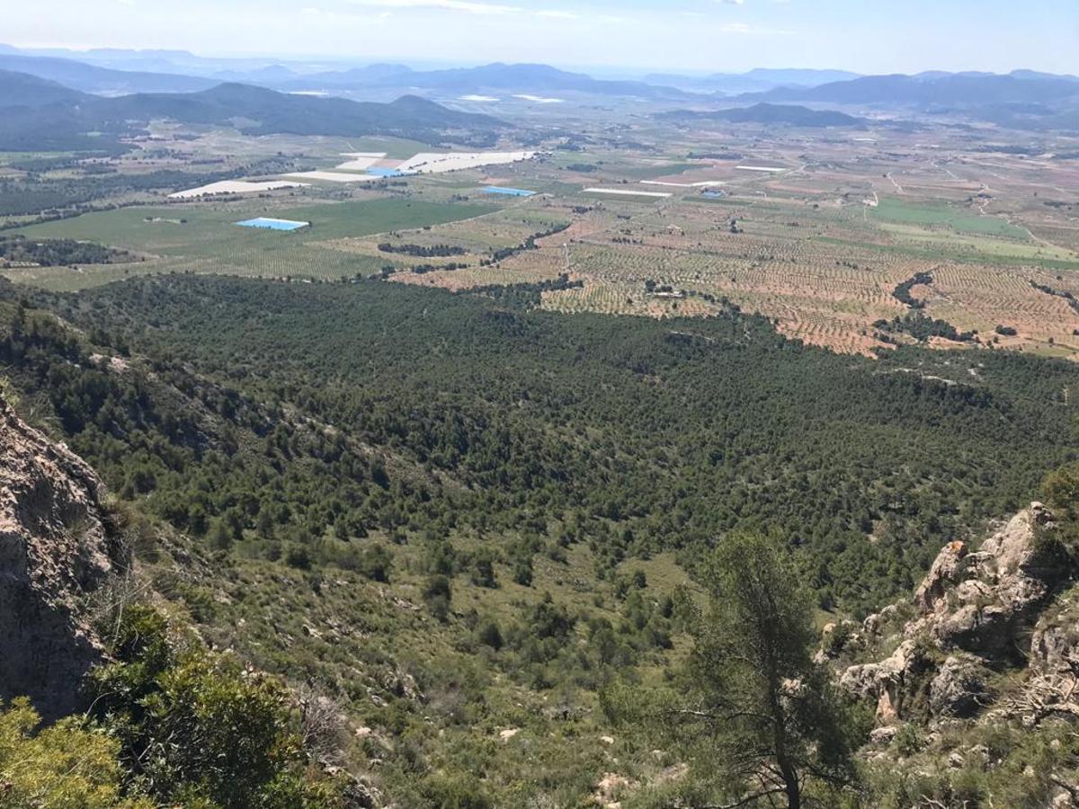 Imagen de la vertiente de la Sierra Salinas que da a los términos de Monóvar y Pinoso.