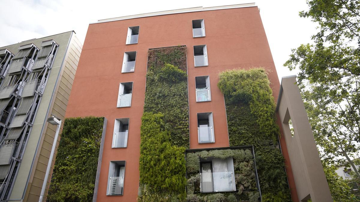 Pared medianera con vegetación plantada en un bloque del Poblenou, en Barcelona.