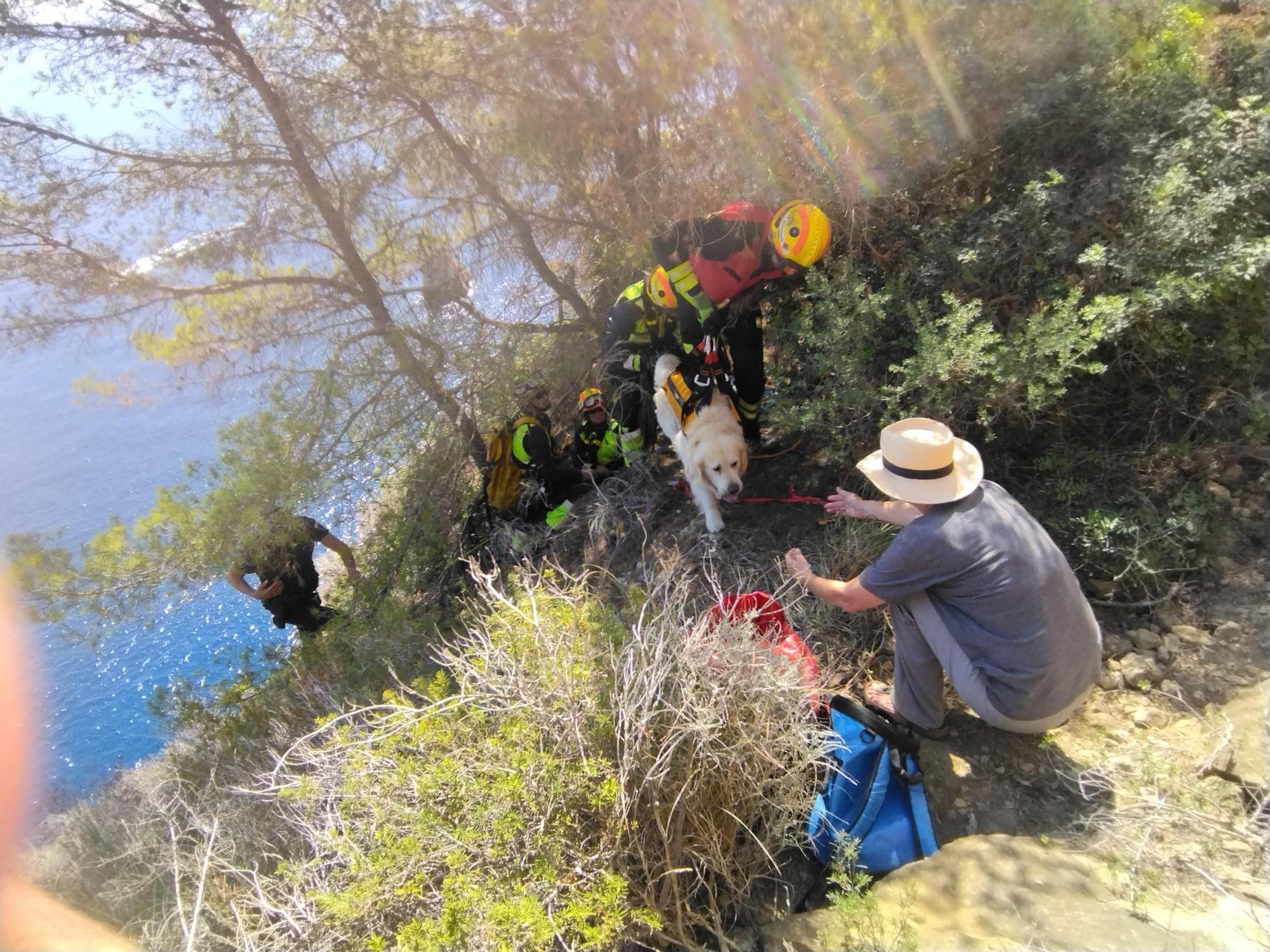 Las imágenes del rescate del perro que ha caído de 30 metros en el acantilado de Xàbia