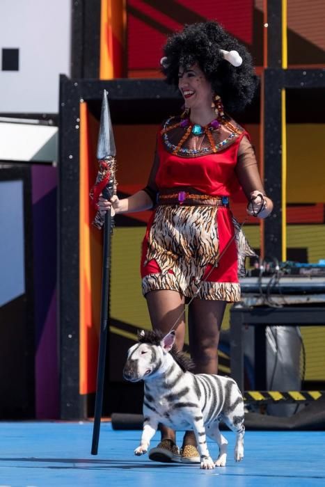 Carnaval Canino de Las Palmas de Gran Canaria,