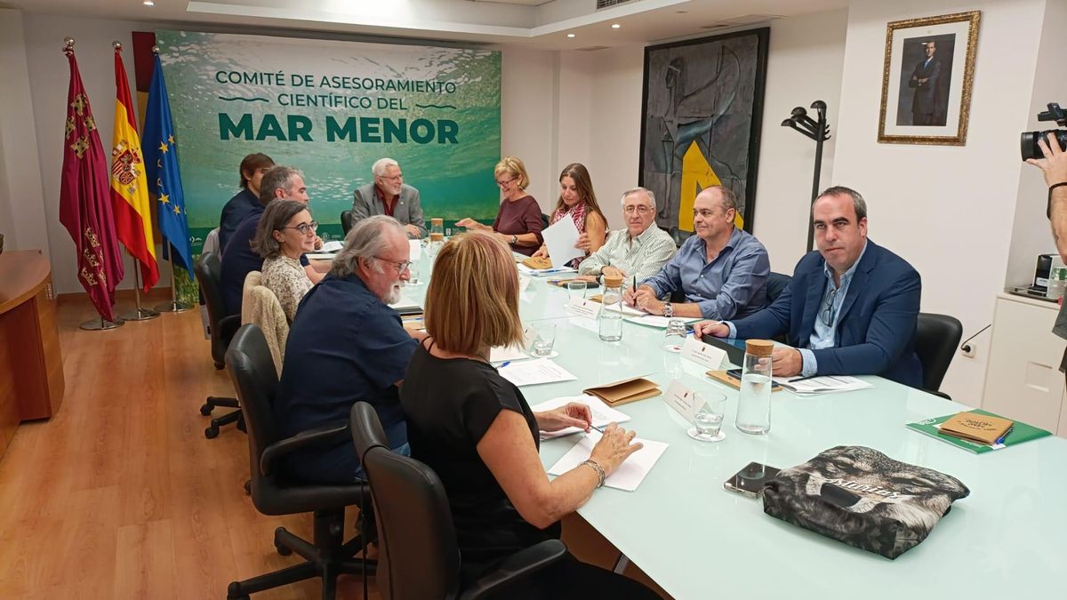 Reunión del Comité Asesoramiento Científico del Mar Menor, este miércoles en la Consejería de Medio Ambiente.