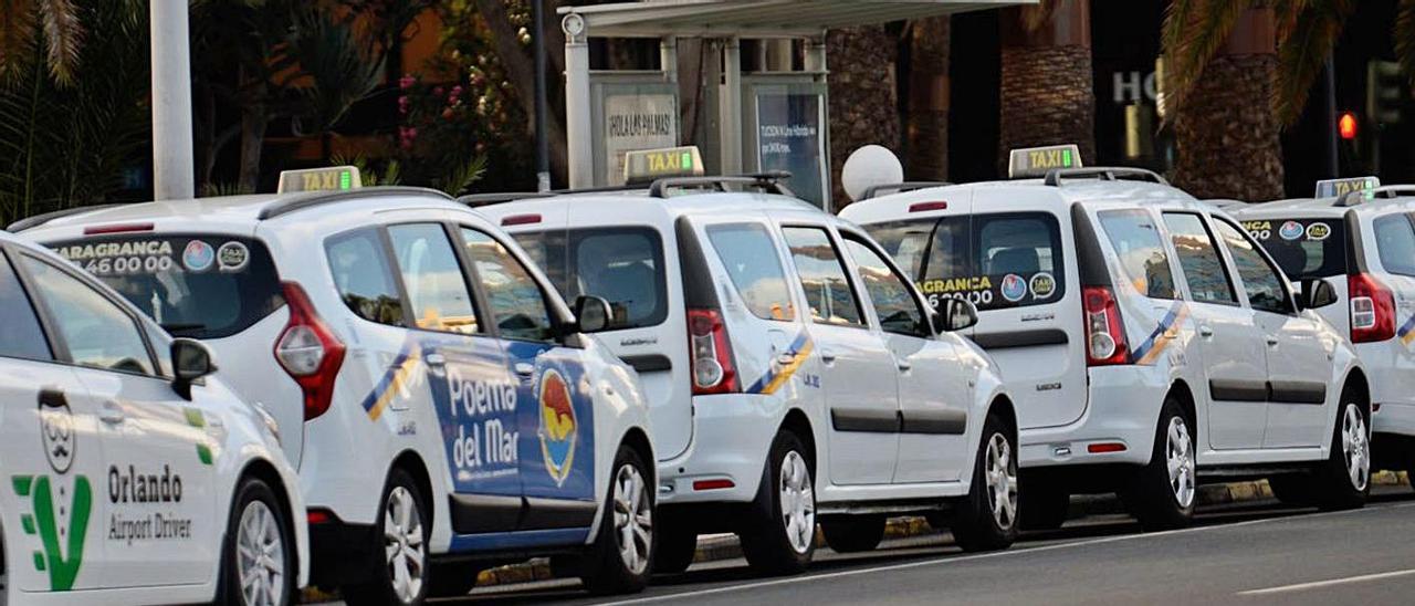 Parada de taxis en la capital grancanaria.