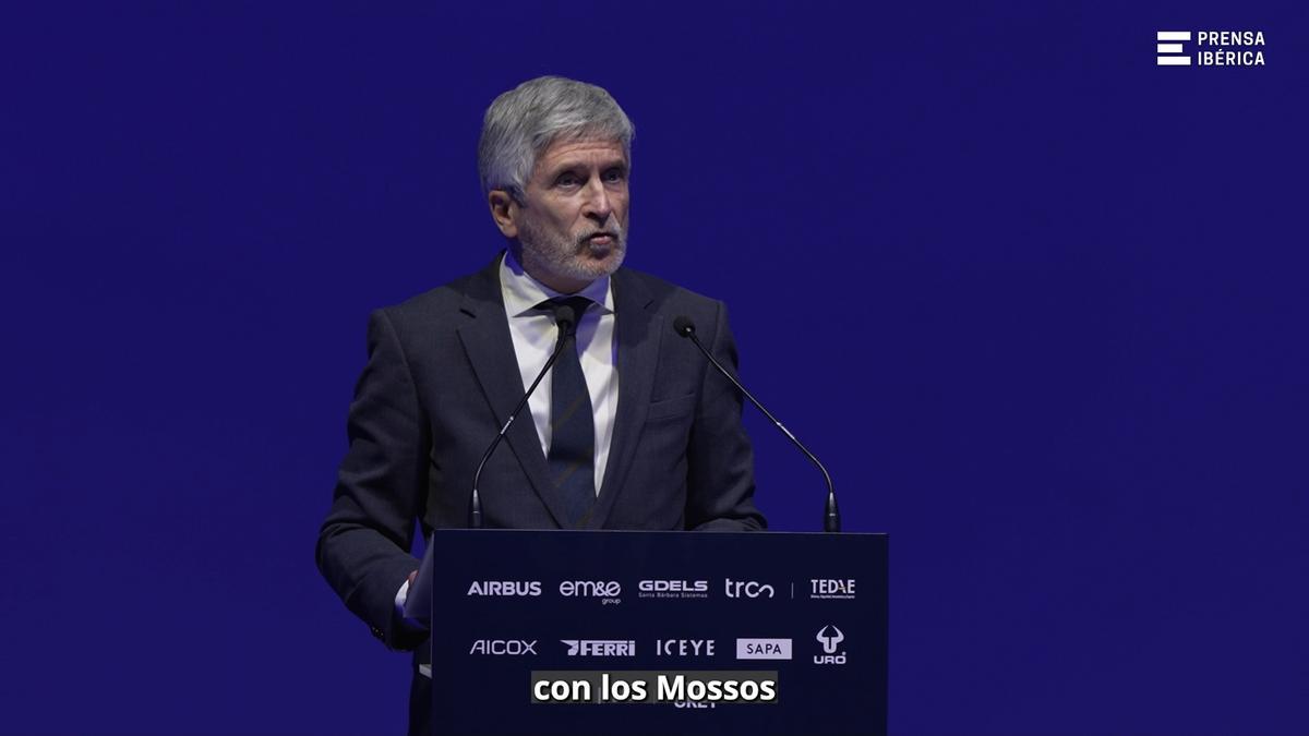 El ministro Fernando Grande-Marlaska.