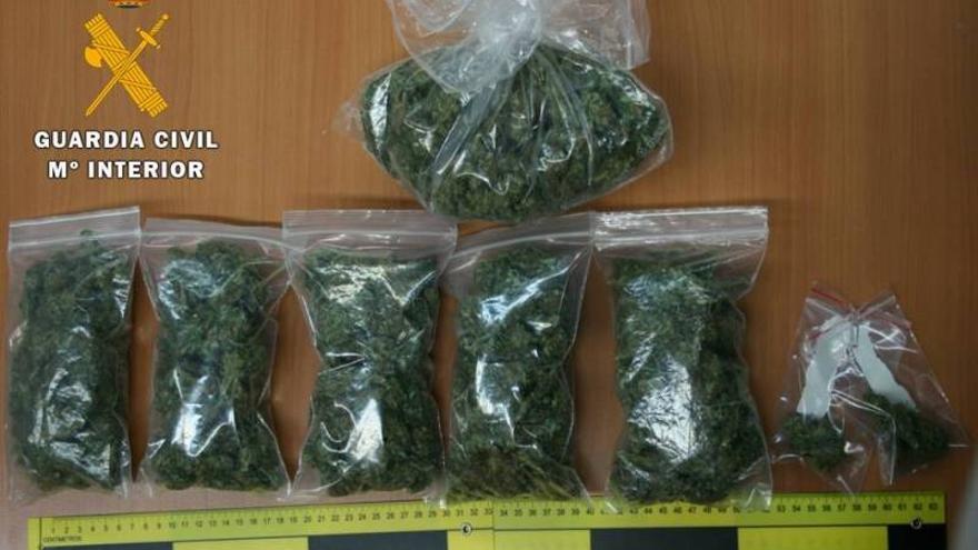 Ocho detenidos por cultivar marihuana en 4 actuaciones distintas en Zaragoza