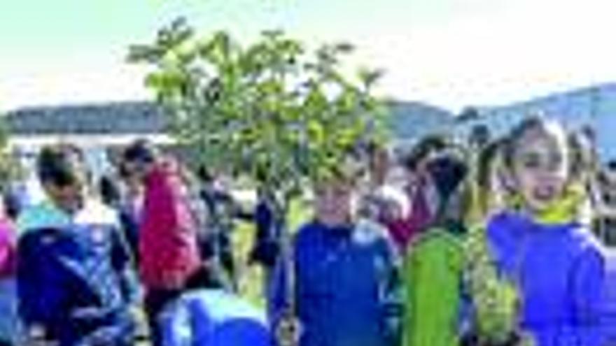 Los escolares plantan árboles en Casa Plata