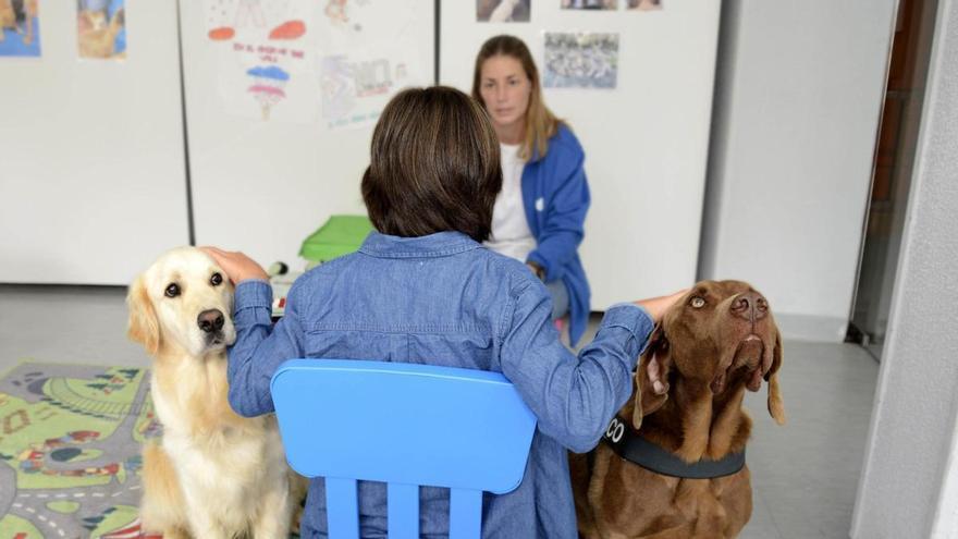 Juezas de Vigo garantizan de oficio que un niño con altas capacidades acuda a terapia