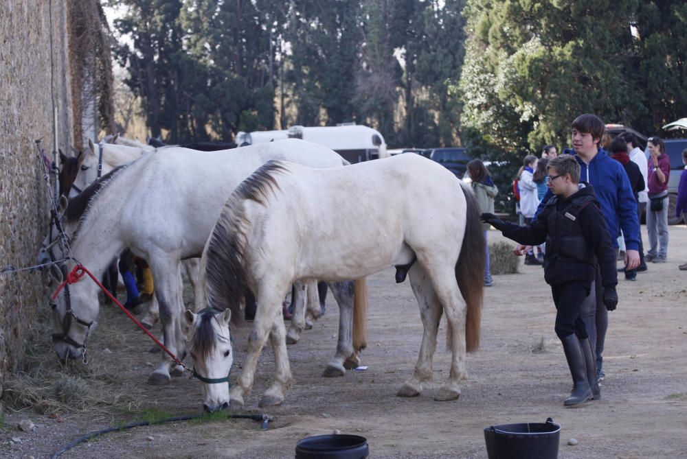 Festa de Sant Antoni Abat a Torroella de Montgrí