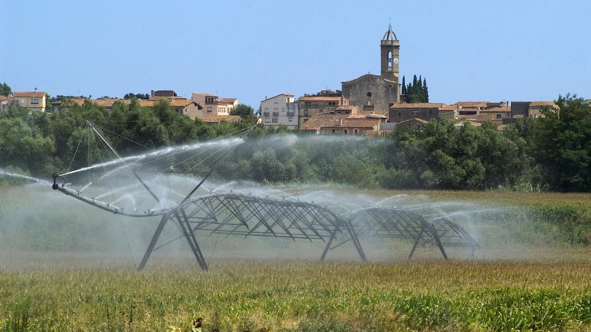 Imagen de un campo de maíz siendo regado