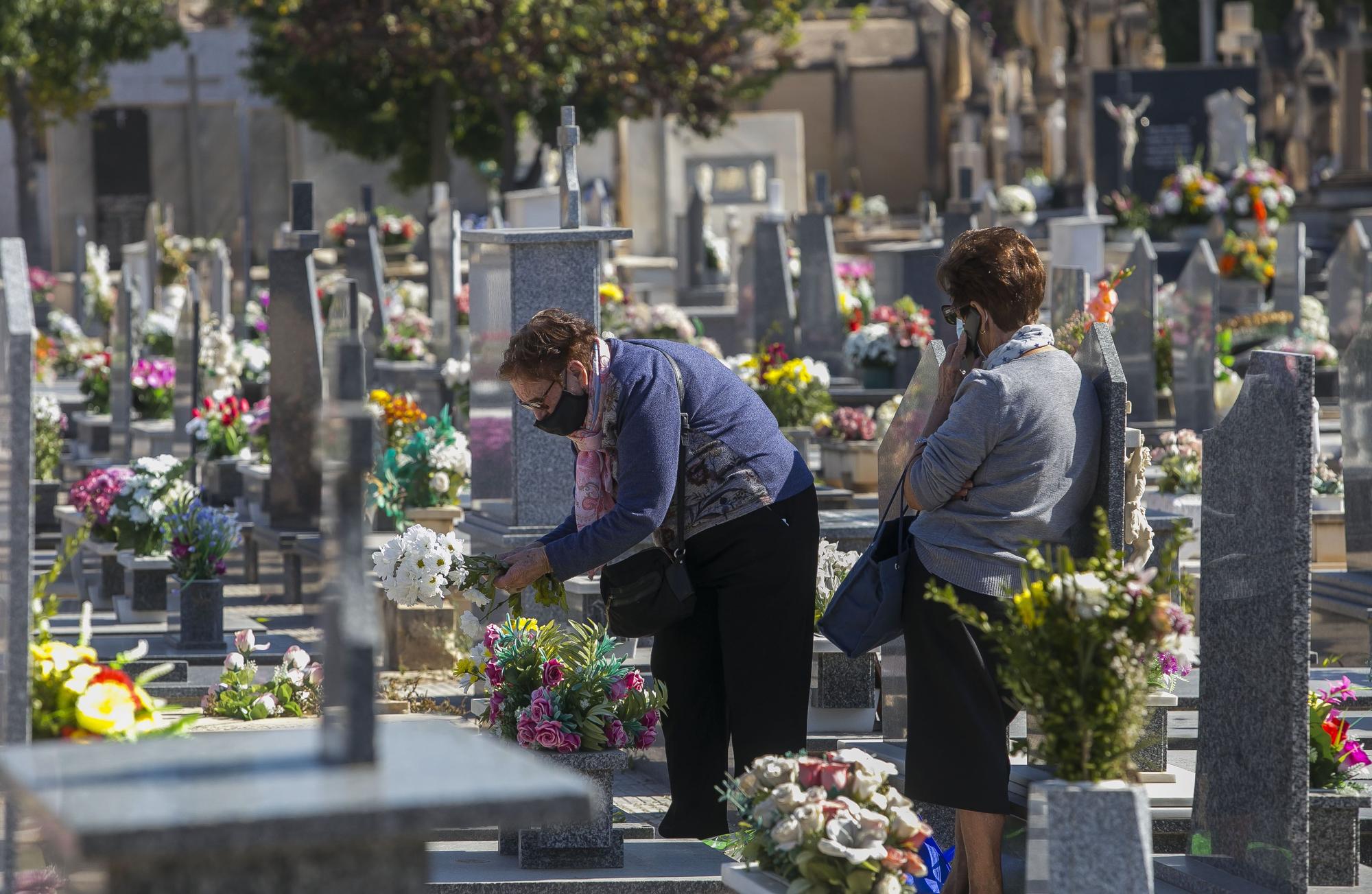 Día de Todos los Santos bajo mínimos de afluencia en el cementerio de Alicante