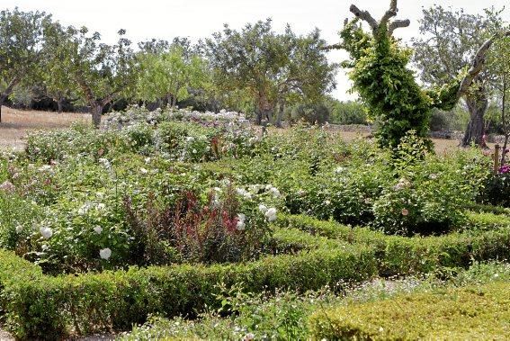 Gartenarchitektin Andi Lechte zeigt einer Reisegruppe ein Anwesen bei Santanyí. Der Entwurf stammt aus ihrer Feder.