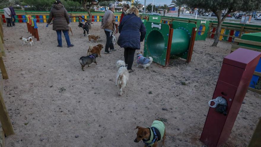 El Ayuntamiento repartirá 4.000 botellas para limpiar los orines de los perros en la calle